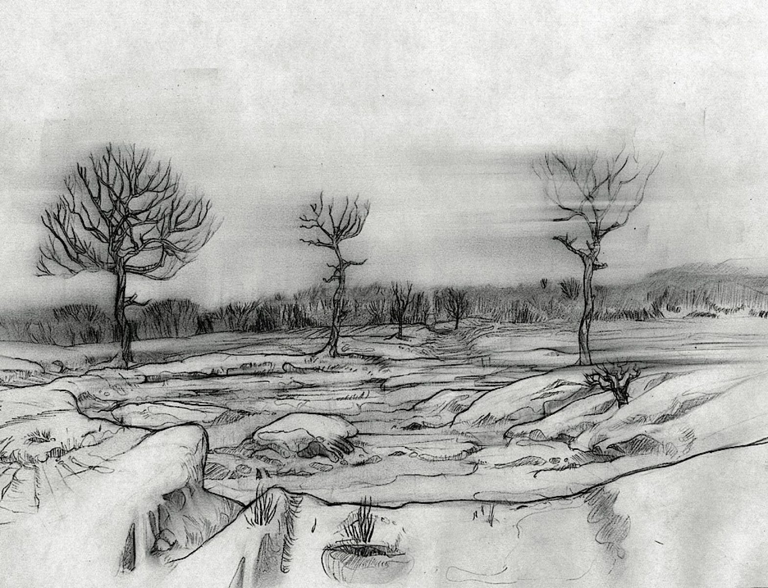 Gardening (1)