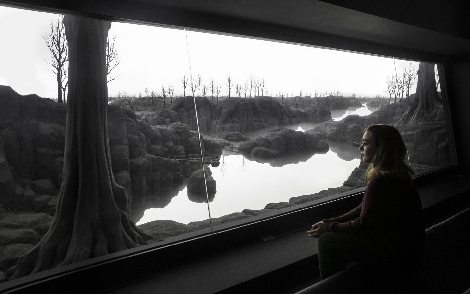 The Quiet View (1)