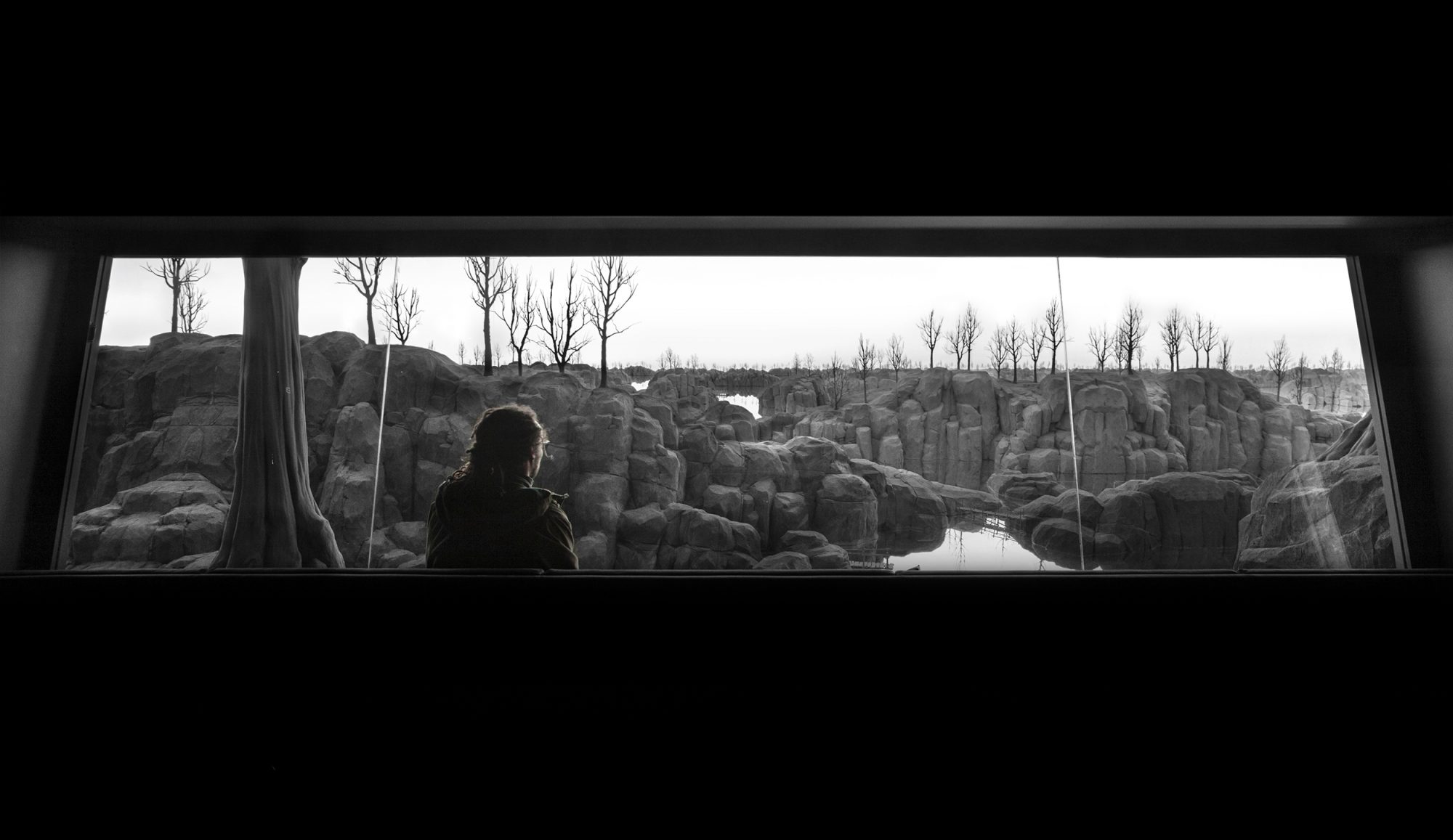 The Quiet View (2)