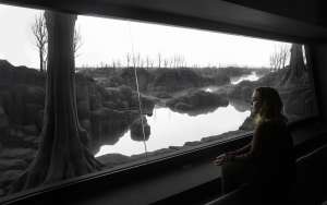 The Quiet View (1)