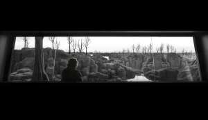 The Quiet View (2)