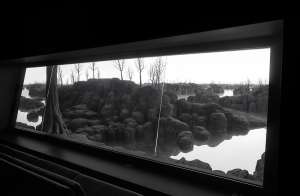 The Quiet View (3)